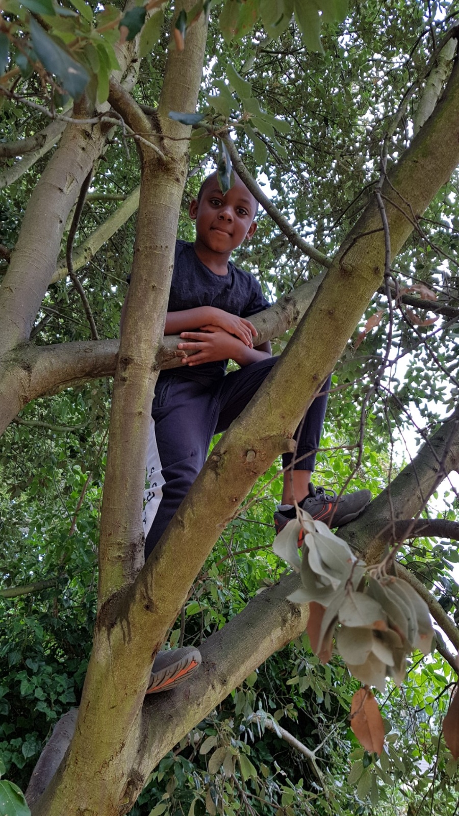 20180726 113735 (Large)